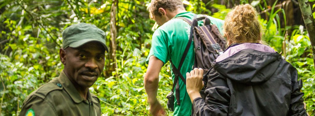 Age limit for Gorilla trekking in Bwindi Forest National Park Uganda