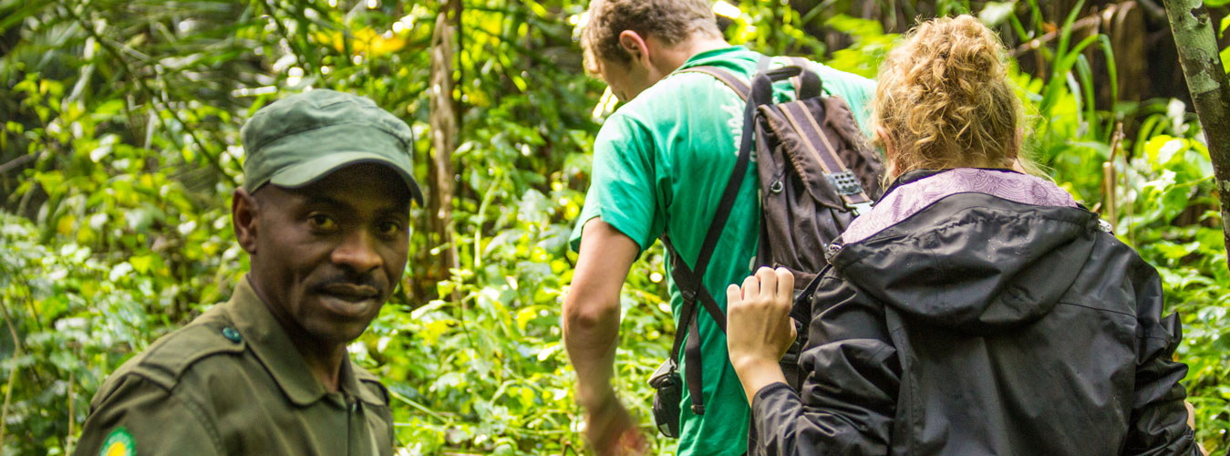 Gorilla Trekking Duration, How long is a Gorilla Trek in Uganda