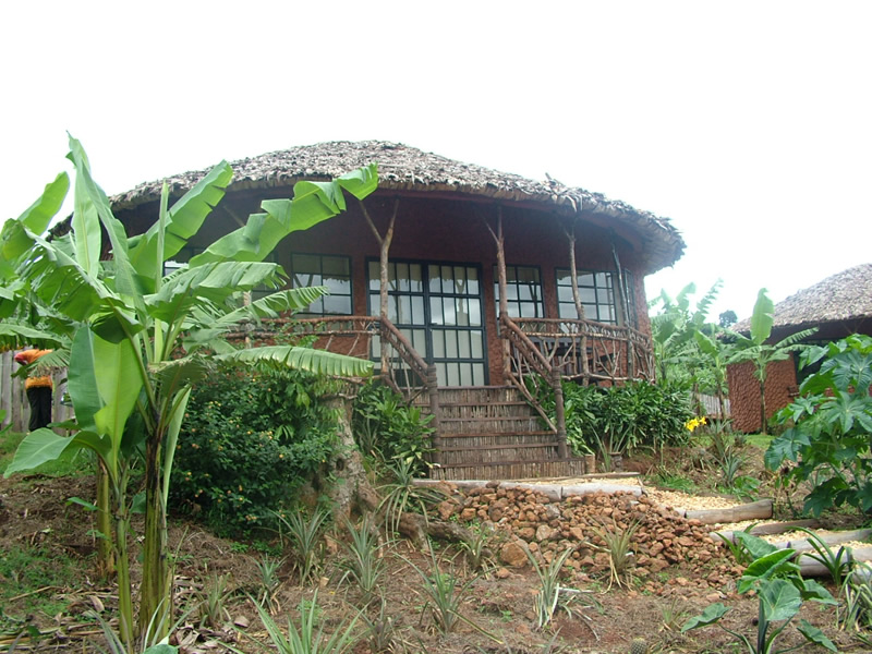 Mahogany Springs Lodge, Mahogany Springs Bwindi
