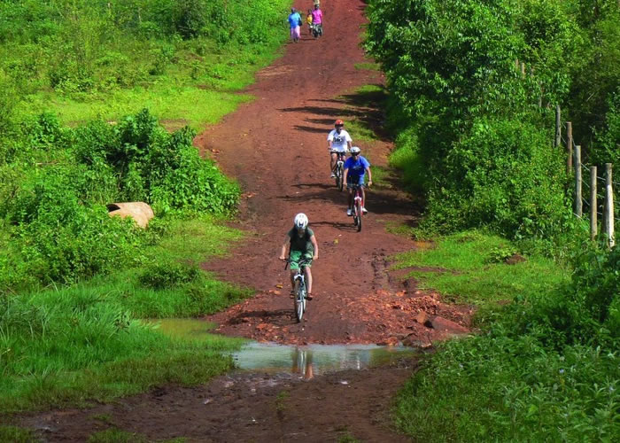 mMountain bike riding in Bwindi