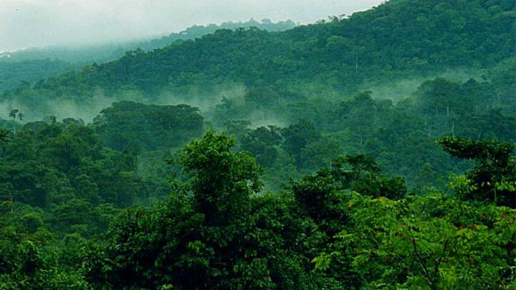 climate of bwindi forest