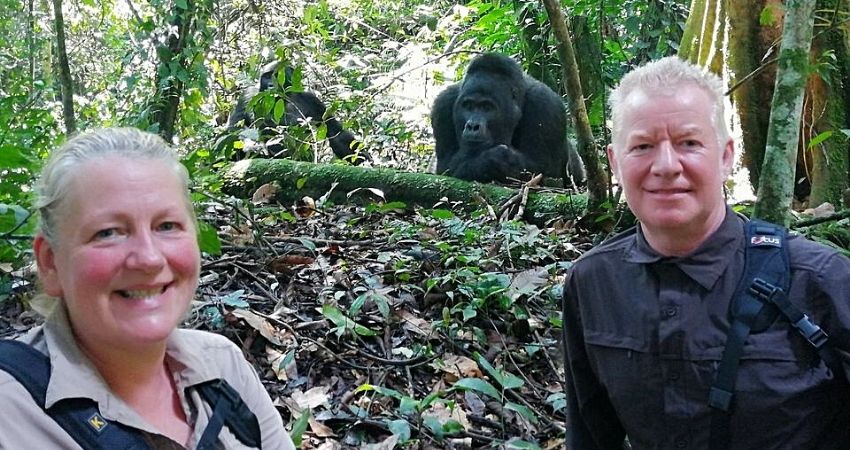 6 Days Uganda Gorilla Trekking Safari to Bwindi Forest, Gorilla trip