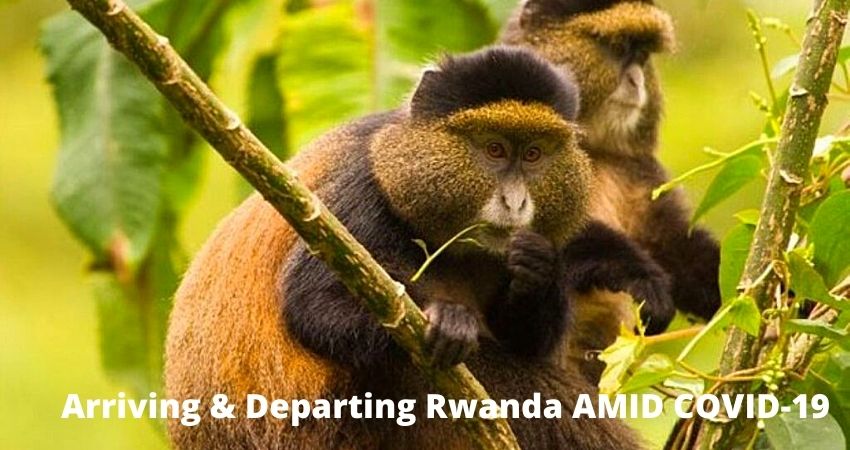 Arriving & Departing Rwanda