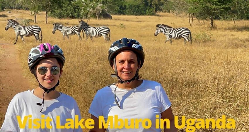 Visit Lake Mburo