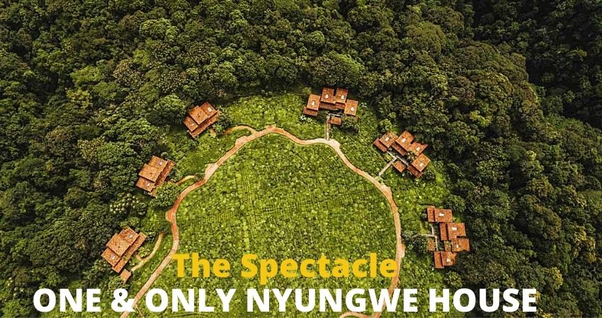One & Only Nyungwe House