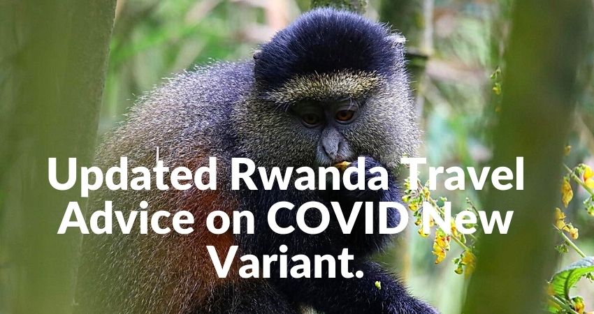 Rwanda Travel Advise