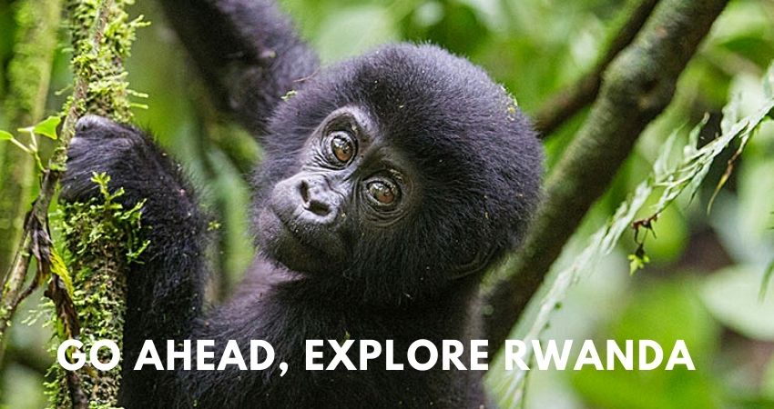 Go Ahead, Explore Rwanda