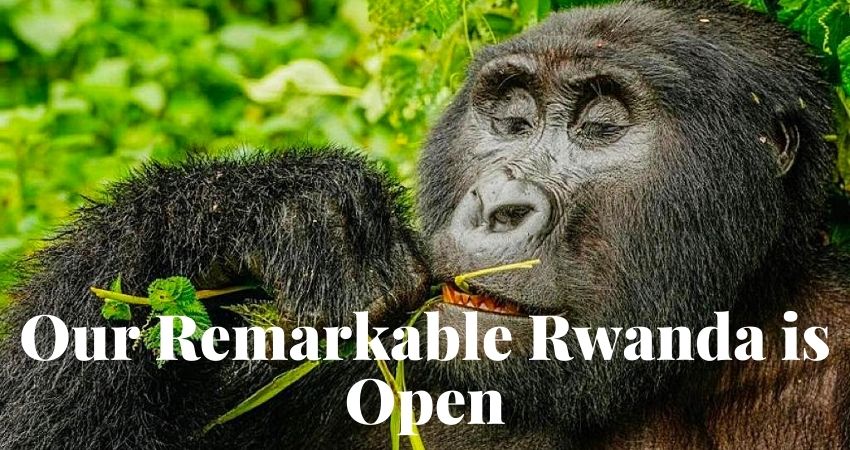 Rwanda Is Open