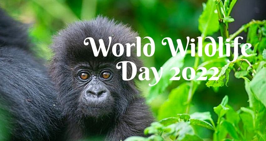 ​World Wildlife Day 2022