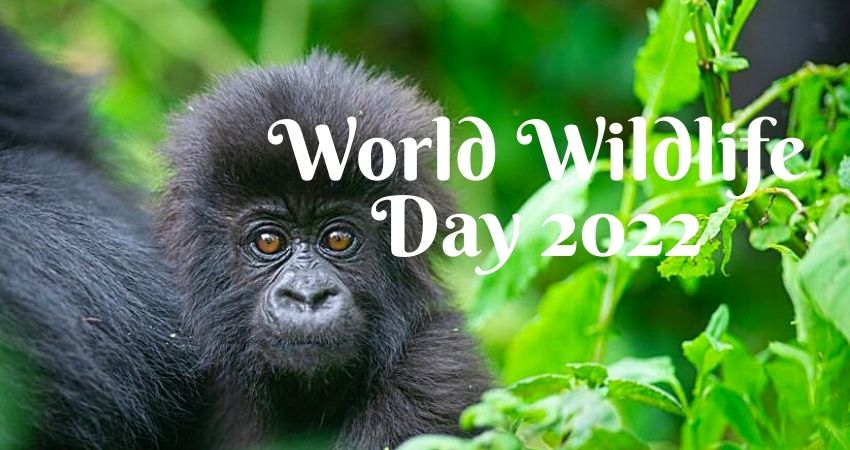 World Wildlife Day