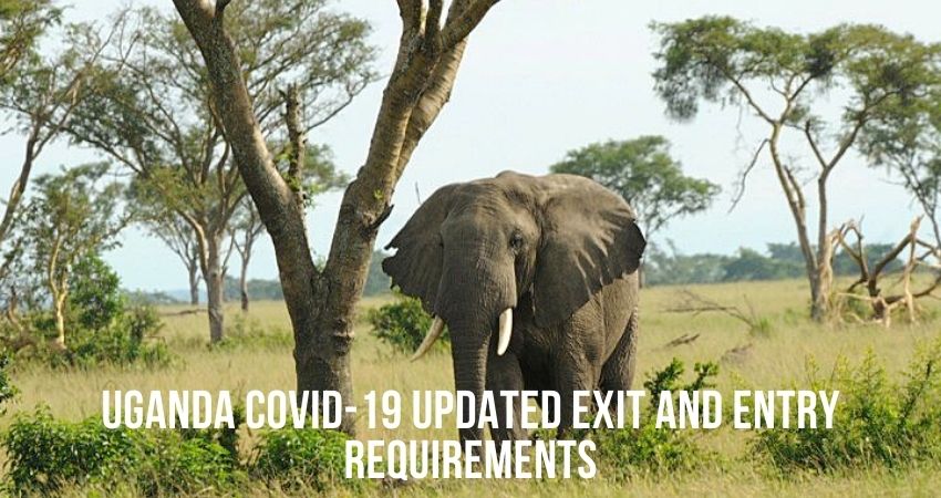 Covid-19 Entry And Exit Requirements