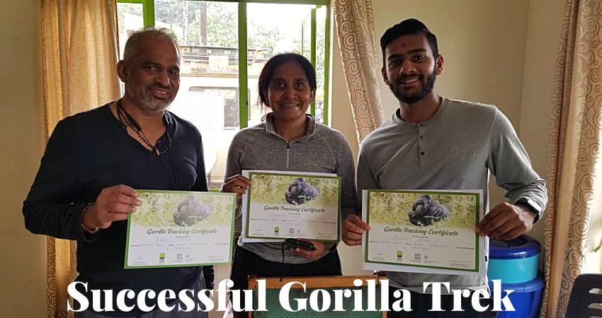 Gorilla Trekking Experience