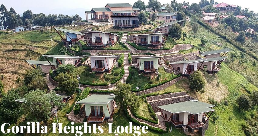 Luxury Gorilla Heights Lodge