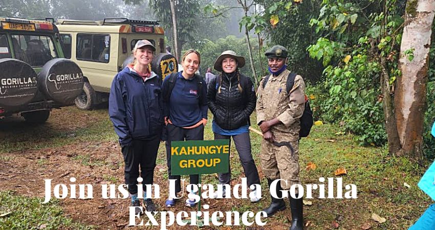 Join Us In Uganda Gorilla Experience