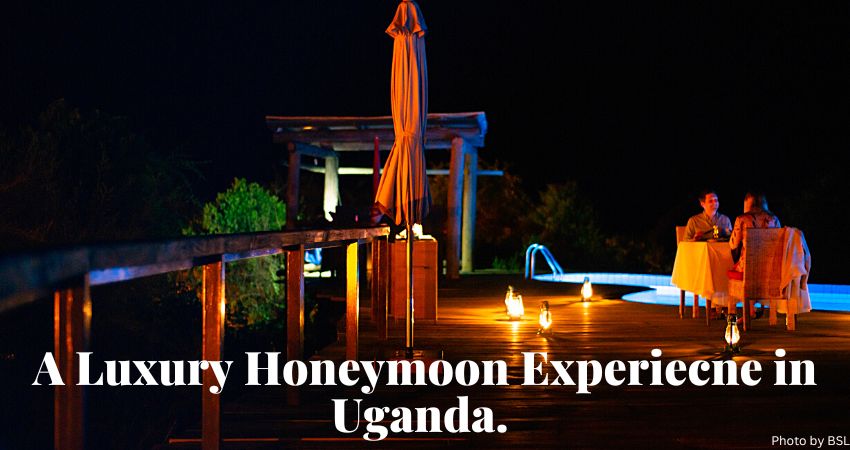 Luxury Honeymoon Safari In Uganda