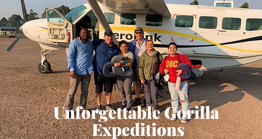 Luxury Gorilla Travel Experiences