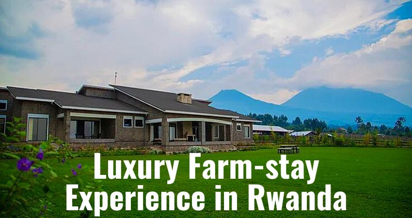 Rwanda Luxury Farm Experience