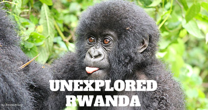 Unexplored Gems In Rwanda