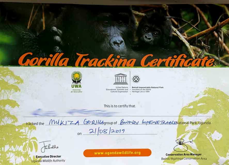 Gorilla Trekking Certificate, What is a Gorilla Tracking Certificate?