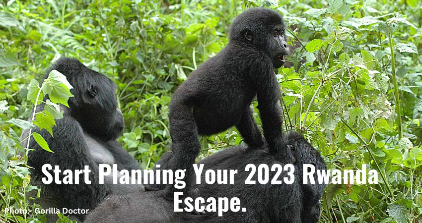 2023 Rwanda Escape