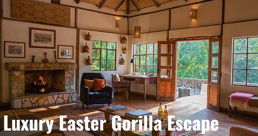 Easter Gorilla Trek Escape