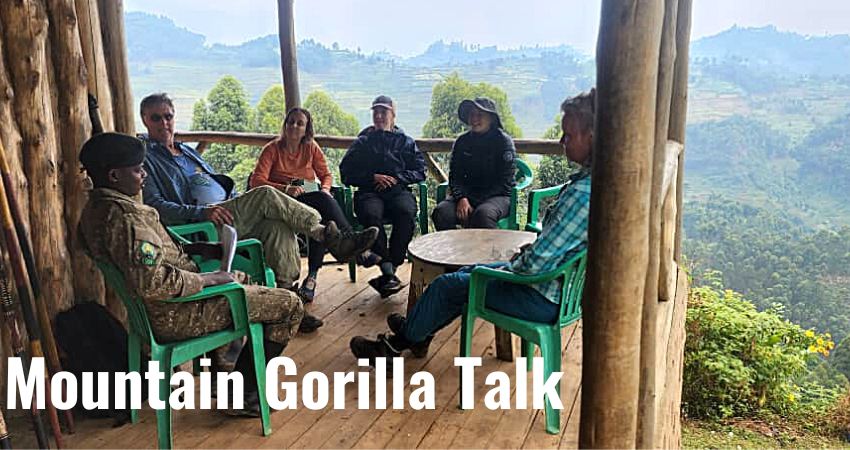 Everything About Mountain Gorillas