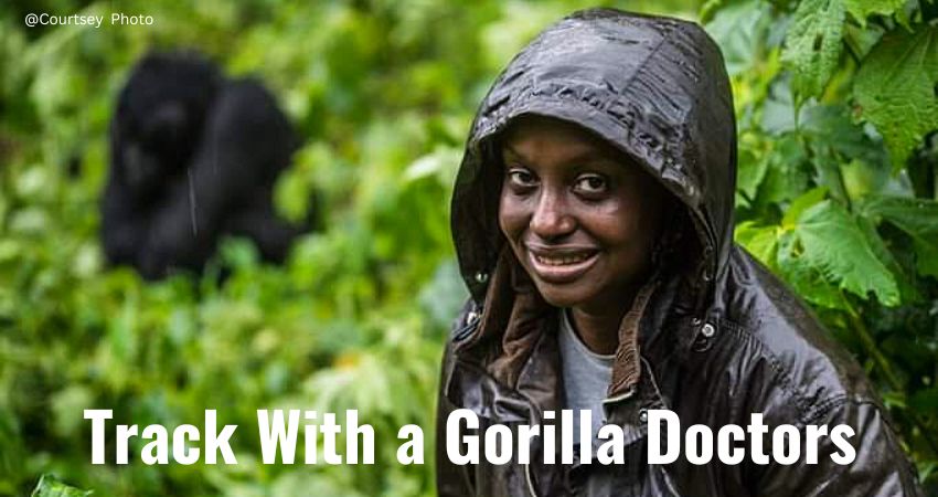 Gorilla Tracking With Gorilla Doctors