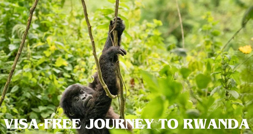 Visa-free journey to Rwanda