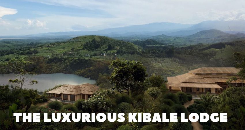 Experience The Finest At Kibale Lodge
